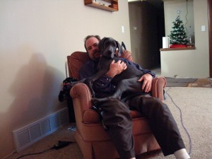LapDog